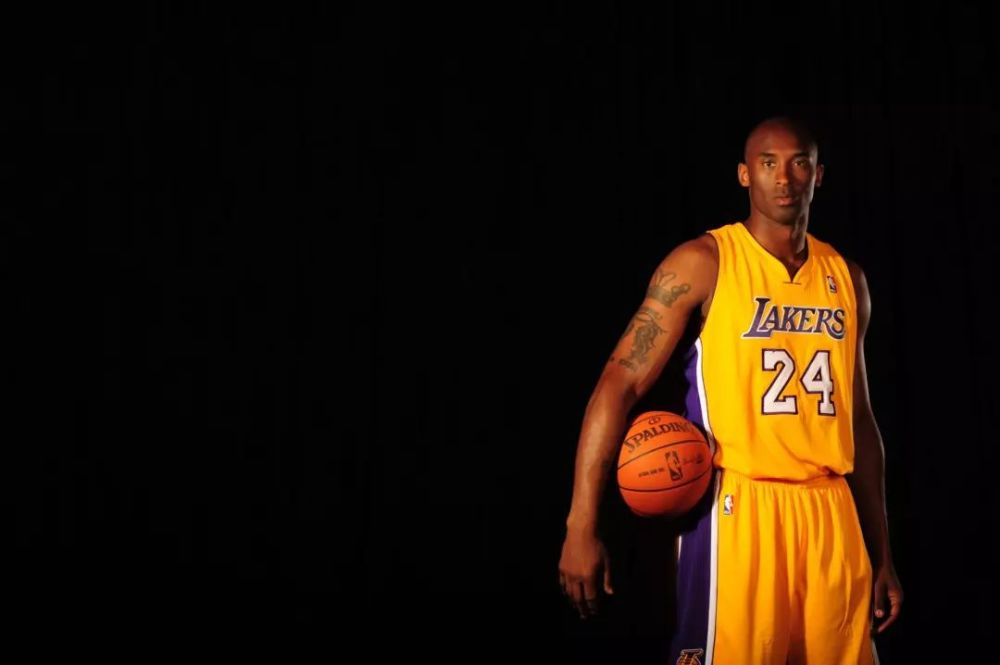 的适应力 的适应力